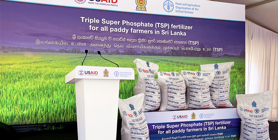 Triple Super Phosphate (TSP) Fertilizer For All Paddy Farmers In Sri Lanka